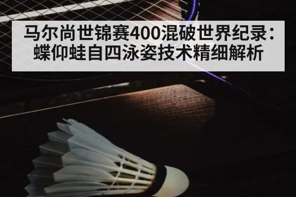 马尔尚世锦赛400混破世界纪录：蝶仰蛙自四泳姿技术精细解析 - jiuyou