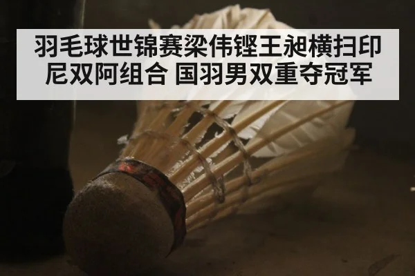 羽毛球世锦赛梁伟铿王昶横扫印尼双阿组合 国羽男双重夺冠军